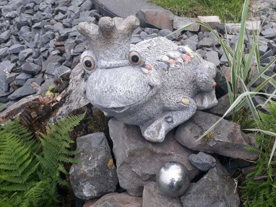 Holiday room Pilgerzimmer - Outdoor photo 23