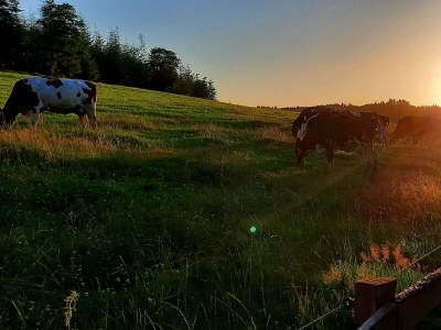 Holiday room Pilgerzimmer - Outdoor photo 26