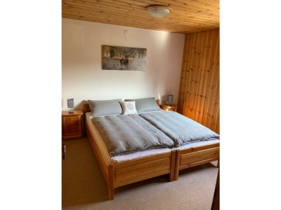 Apartment Ferienhaus/ ehem. Jagdhütte Held - Features photo 21