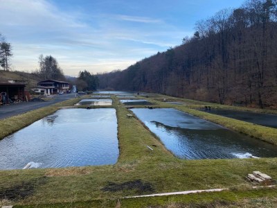 Apartment 2-Bettwohnung - Outdoor photo 13