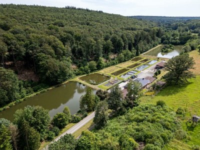 Apartment 2-Bettwohnung - Outdoor photo 15