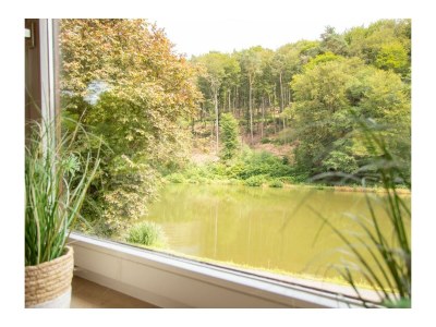 Apartment 2-Bettwohnung - Features photo 25