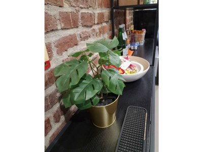 Apartment 4 Bett-Wohnung - Features photo 20