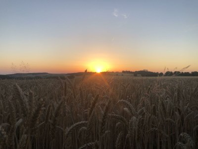 Apartment 4-Bett-Wohnung - Outdoor photo 7