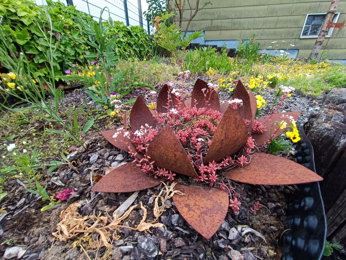 Apartment 2-Schlafzi Ferienhaus, Dusche, WC, - Outdoor photo 4