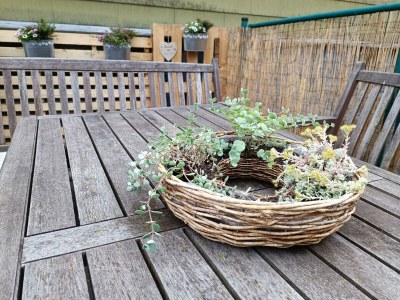 Apartment 2-Schlafzi Ferienhaus, Dusche, WC, - Outdoor photo 10