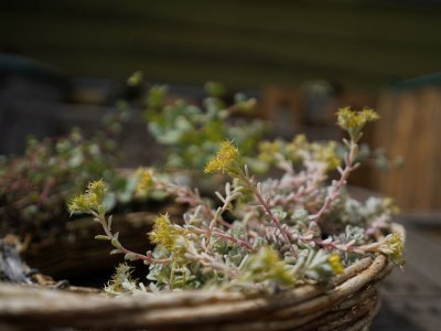Apartment 2-Schlafzi Ferienhaus, Dusche, WC, - Outdoor photo 14