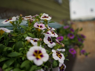 Apartment 2-Schlafzi Ferienhaus, Dusche, WC, - Outdoor photo 16