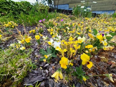 Apartment 2-Schlafzi Ferienhaus, Dusche, WC, - Outdoor photo 18