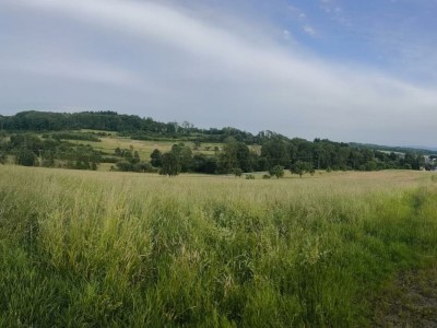 Apartment 2-Schlafzi Ferienhaus, Dusche, WC, - Outdoor photo 19