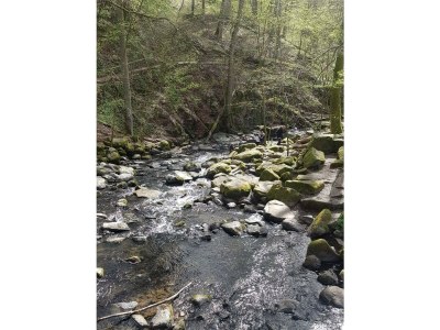 Apartment 2 Bett Appartement/Fewo, Bad, WC, 1 Schlafraum - Outdoor photo 14