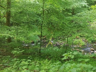 Apartment 2 Bett Appartement/Fewo, Bad, WC, 1 Schlafraum - Outdoor photo 15