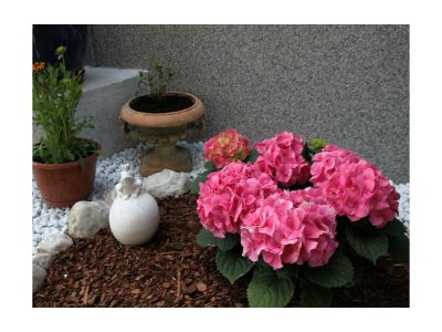 Holiday house Windhager - Outdoor photo 5