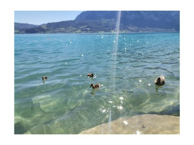 Holiday house Windhager - Outdoor photo 10