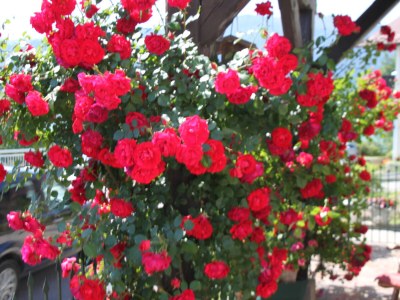 Holiday house Windhager - Outdoor photo 12