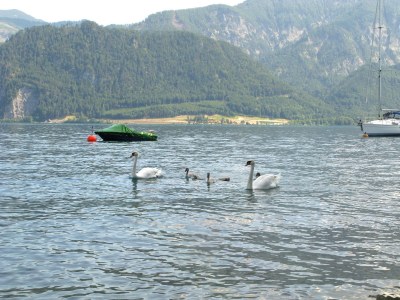 Holiday house Windhager - Environment photo 31