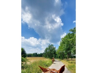 Apartment Ferienwohnung auf ruhigem Hof im Westerwald - Outdoor photo 7