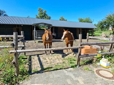 Apartment Ferienwohnung auf ruhigem Hof im Westerwald - Outdoor photo 10