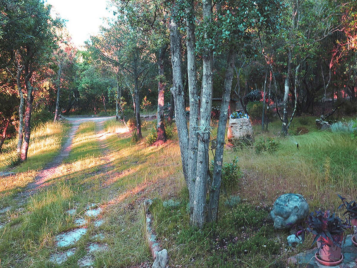 Holiday house Traumhous in Sardinien - Outdoor photo 4