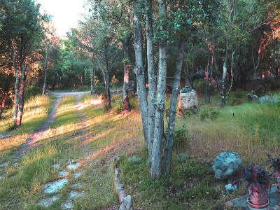 Holiday house Traumhous in Sardinien - Outdoor photo 4