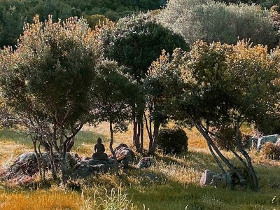 Holiday house Traumhous in Sardinien - Outdoor photo 11