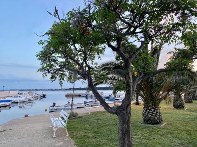 Holiday apartment Blizina Mora II - Environment photo 23