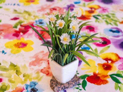 Apartment Apartment studio for 3 people - Outdoor photo 11