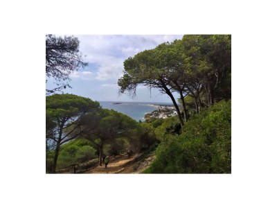 Holiday house 0550 Casa Tres Palmeras - Environment photo 20