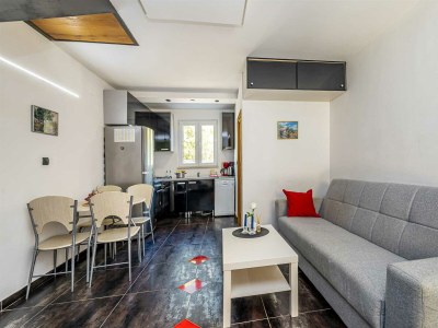 Holiday house Holiday house NOVKOVIC with garden - Features photo 16