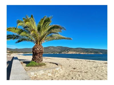 Holiday apartment Villa Marina - Environment photo 30