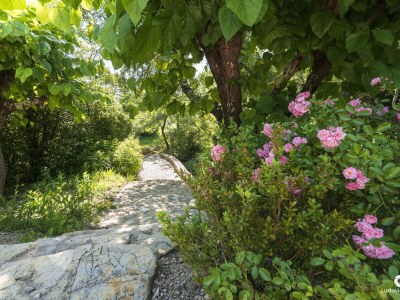 Holiday apartment Gite Louise -Mas Paraloup - Outdoor photo 11