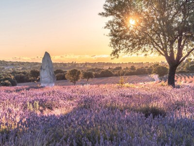 Holiday apartment Gite Louise -Mas Paraloup - Environment photo 32