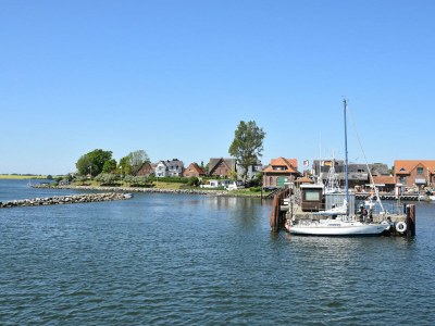 Holiday apartment Ferienwohnung Knurrhahn Olpenitz App. 14 - Outdoor photo 10