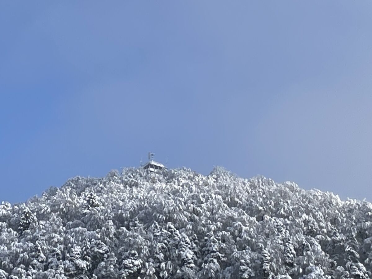 Holiday apartment Vitibuckblick - Outdoor photo 2