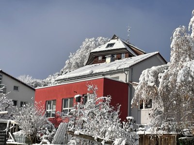 Holiday apartment Vitibuckblick in Waldshut-Tiengen - Holiday apartment
