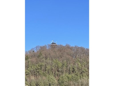 Holiday apartment Vitibuckblick - Outdoor photo 3