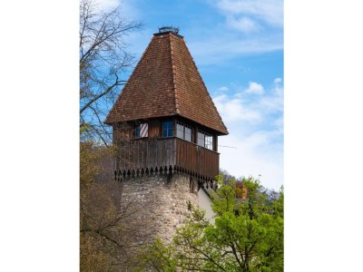 Holiday apartment Vitibuckblick - Environment photo 26