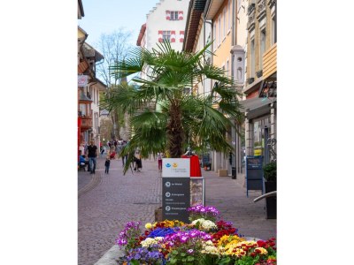 Holiday apartment Vitibuckblick - Environment photo 27