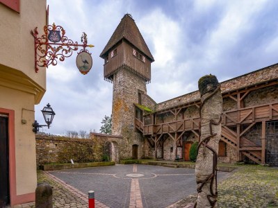 Holiday apartment Vitibuckblick - Environment photo 28