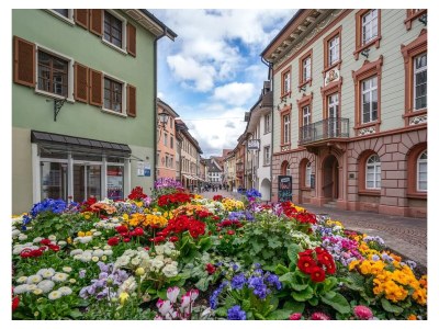 Holiday apartment Vitibuckblick - Environment photo 29