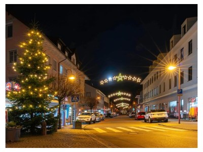 Holiday apartment Vitibuckblick - Environment photo 33