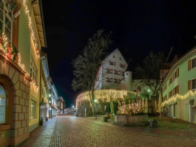 Holiday apartment Vitibuckblick - Environment photo 34