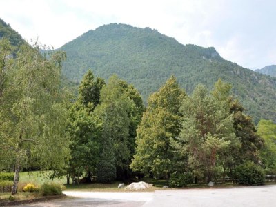 Holiday house Pet-friendly Retreat in the Dolomites - Environment photo 31