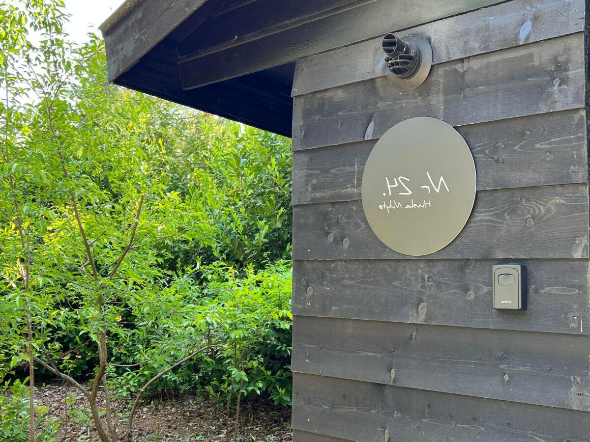 Holiday house Holiday Home in Rheezerveen with Sauna - Outdoor photo 4