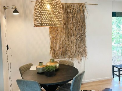 Holiday house Holiday Home in Rheezerveen with Sauna - Features photo 10