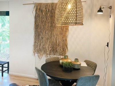 Holiday house Holiday Home in Rheezerveen with Sauna - Features photo 12