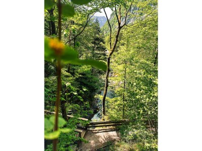 Holiday house Holiday Home Alexandra - Environment photo 35