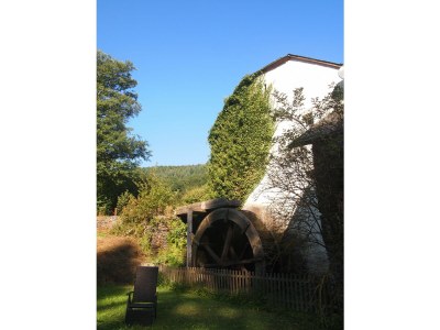 Holiday house Old "Mühlen-Remise"- Pets are welcome - Outdoor photo 2