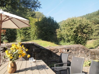 Holiday house Romantische alte Mühle-pets welcome - Outdoor photo 4