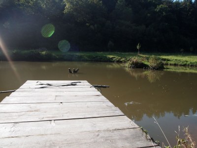 Holiday house Romantische alte Mühle-pets welcome - Environment photo 20